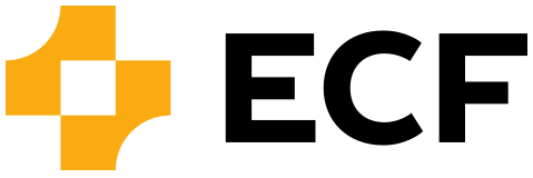 Electrochemistry Foundry
